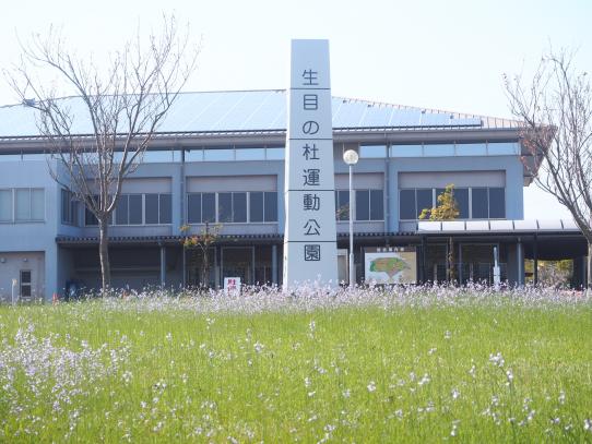 宮崎市生目の杜運動公園-2