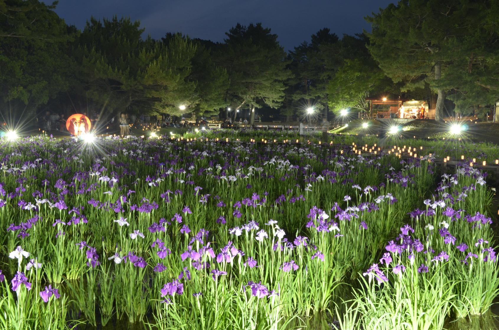 阿波岐原森林公園　市民の森-1