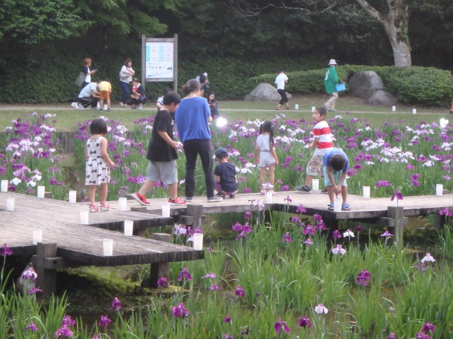 阿波岐原森林公園　市民の森-5