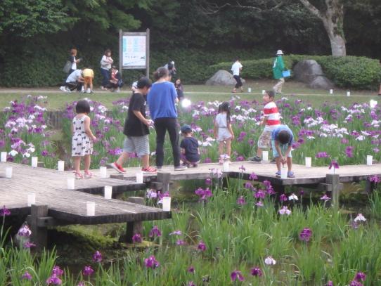 阿波岐原森林公園　市民の森-5