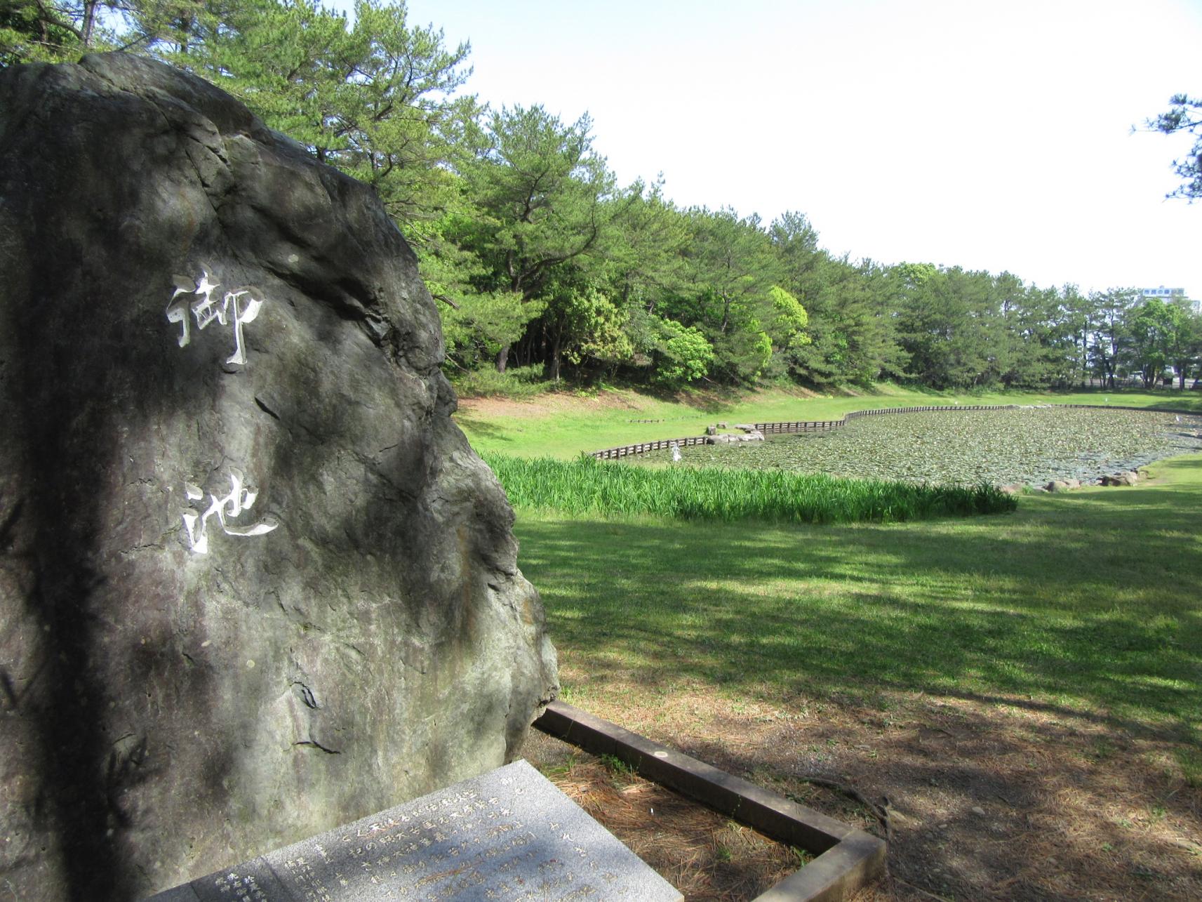 阿波岐原森林公園　市民の森-1