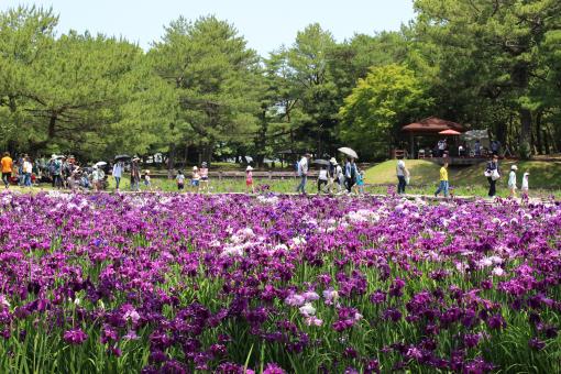 阿波岐原森林公園　市民の森-4