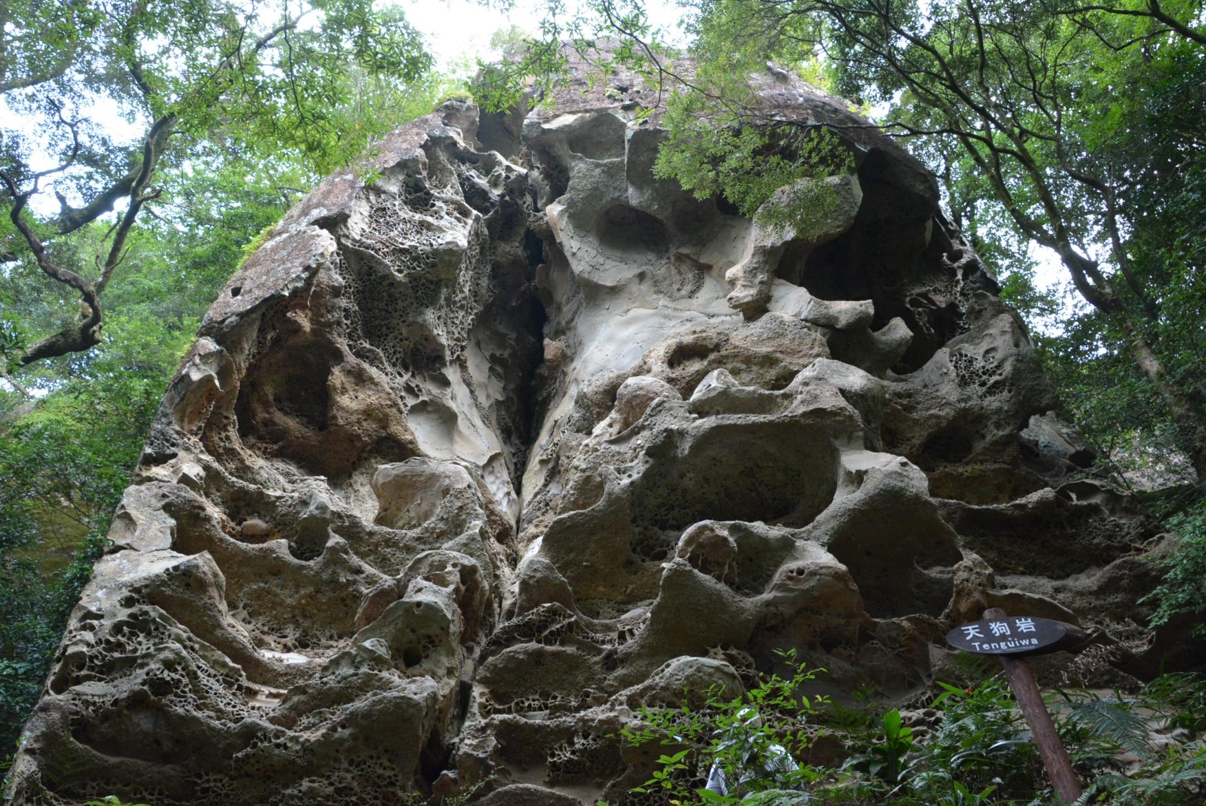 Kaeda Valley (Miyazaki Recreation Forest)-5