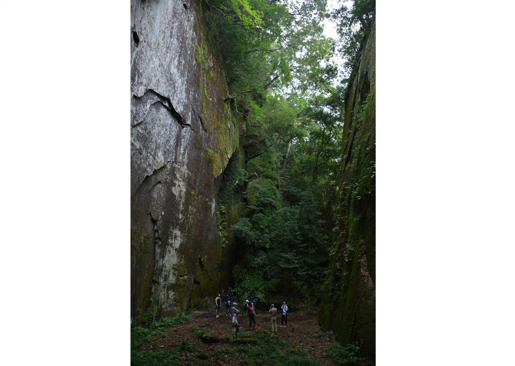 Kaeda Valley (Miyazaki Recreation Forest)-4