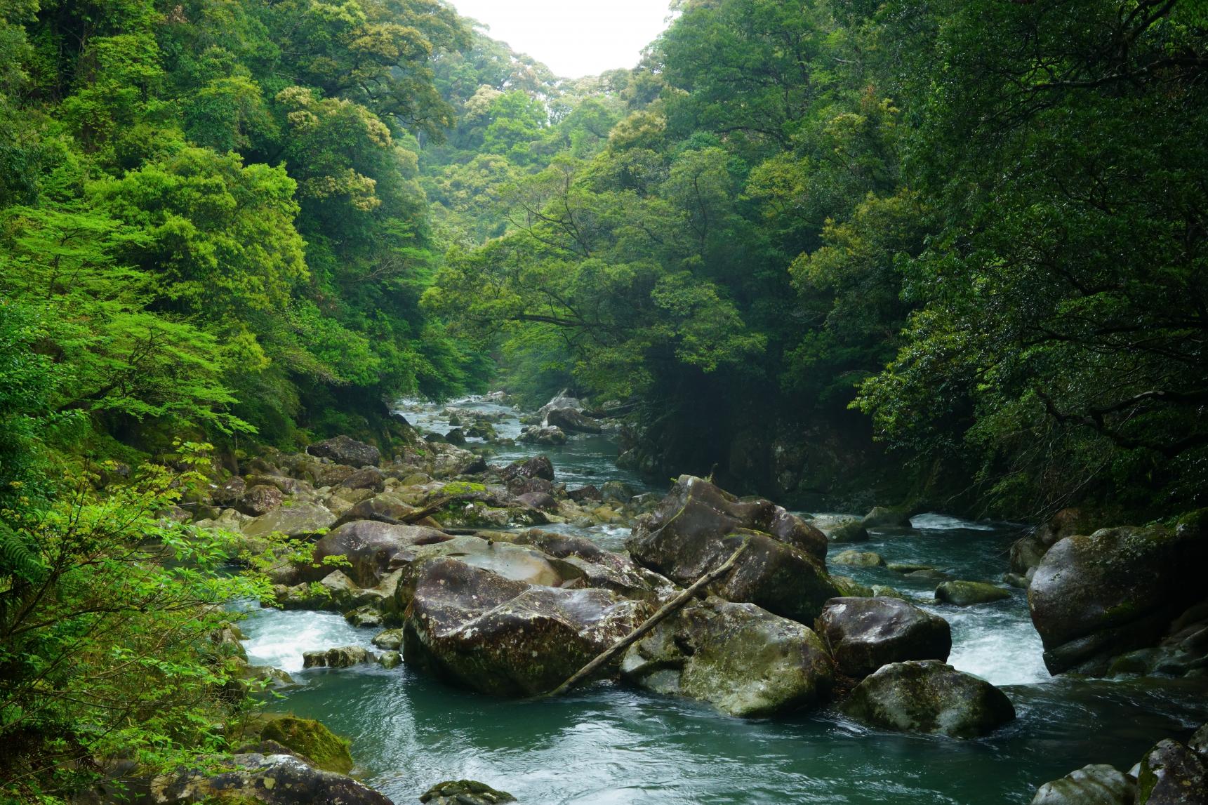 渓谷 
