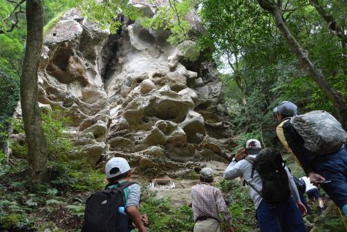 Kaeda Valley (Miyazaki Recreation Forest)-6