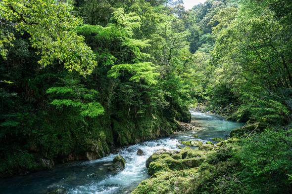 Kaeda Valley (Miyazaki Recreation Forest)-1