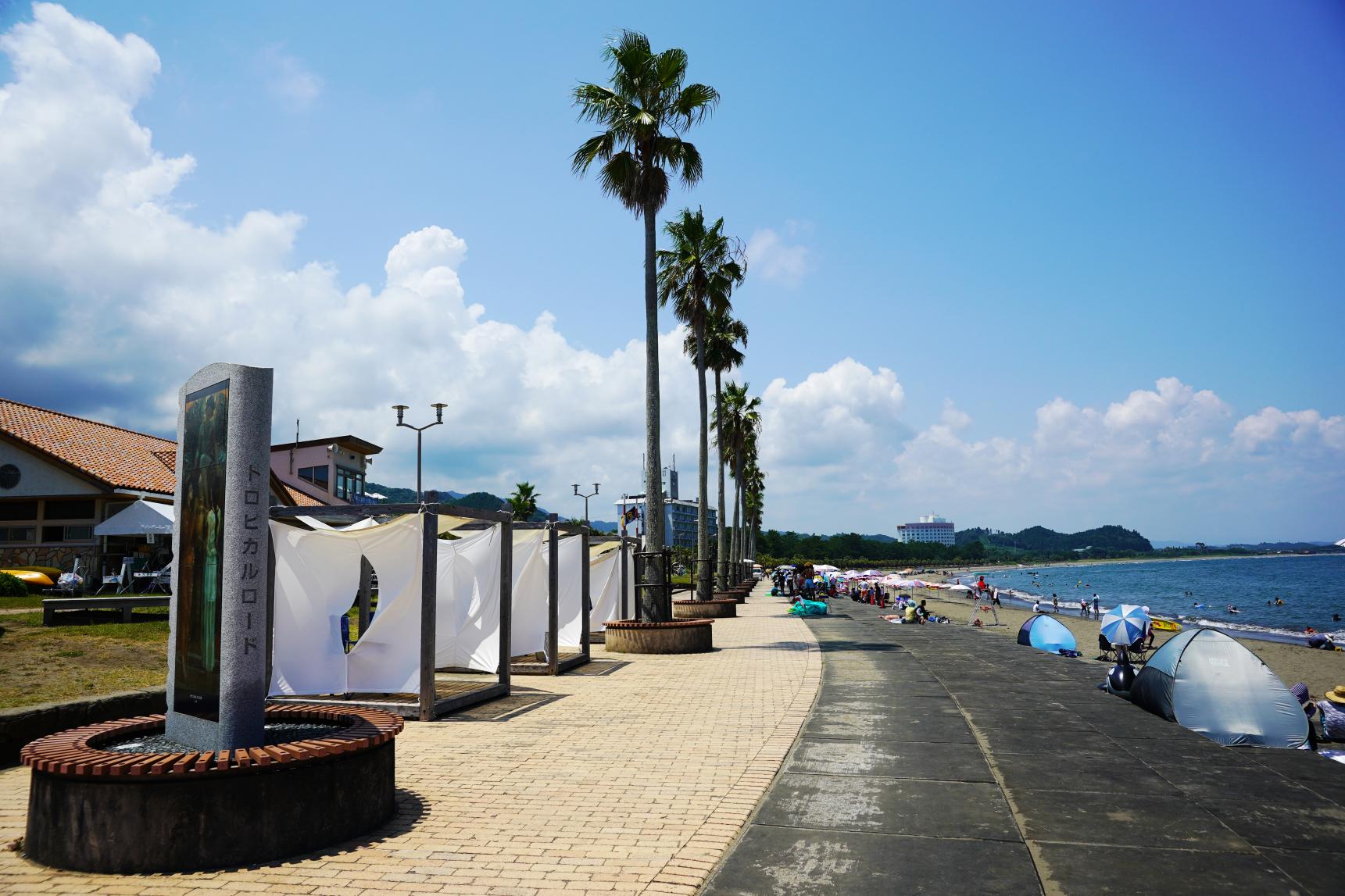 Aoshima Beach-3