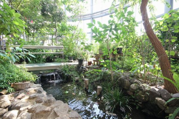 大淀川学習館-2