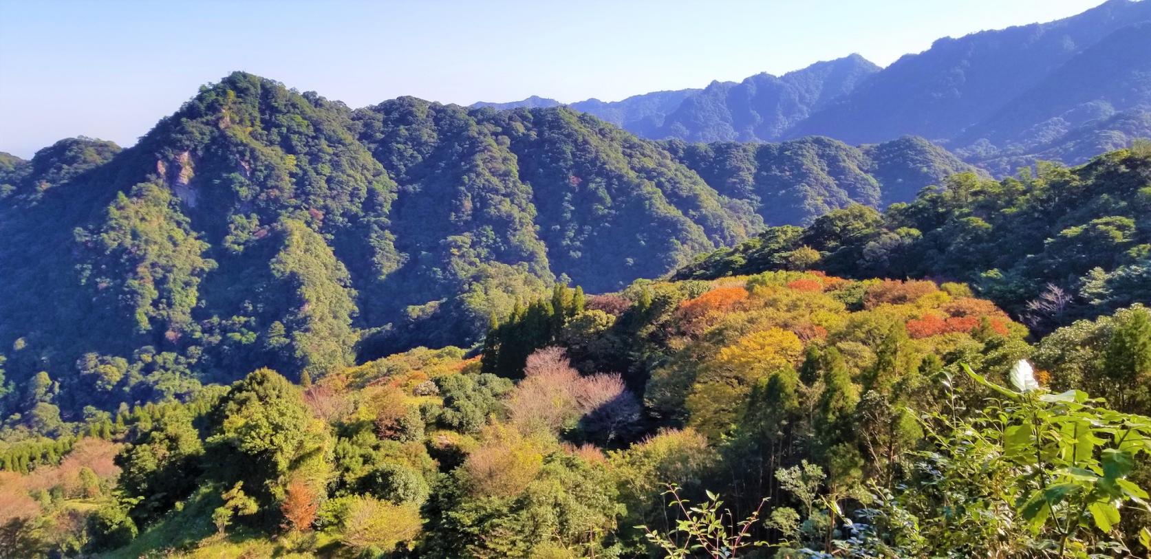 椿山森林公園-1