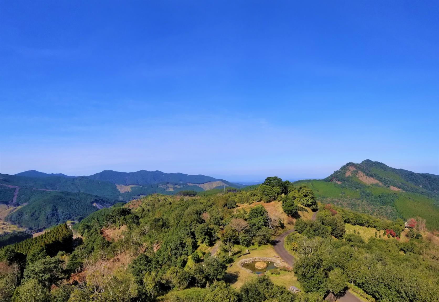椿山森林公園-3