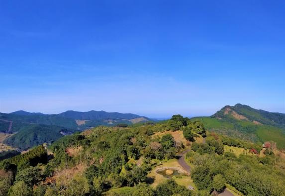 椿山森林公園-3