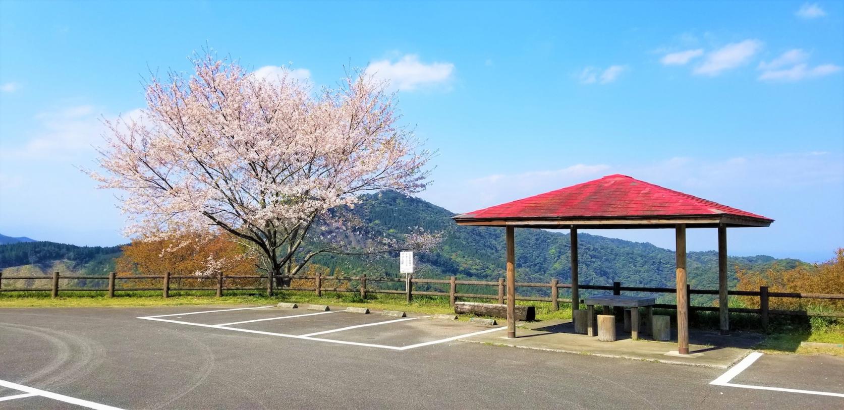 椿山森林公園-5