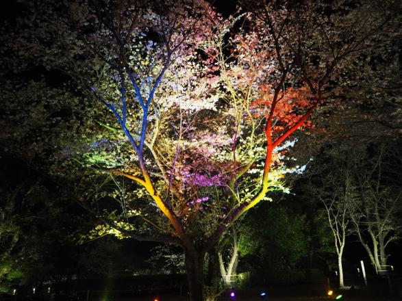 天ヶ城公園-3