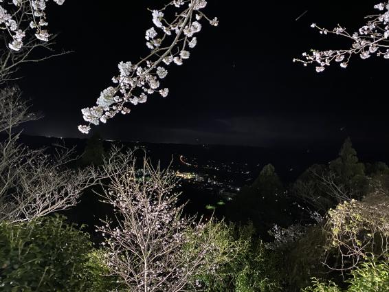 天ヶ城公園-5