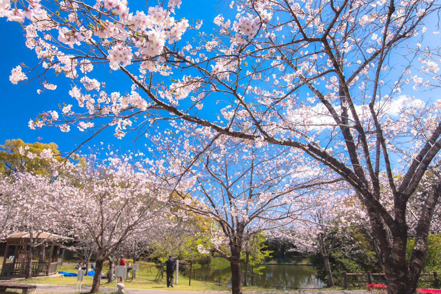 天神山公園-1