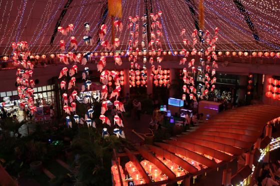 【2026】みやざきグルメとランタンナイト-5