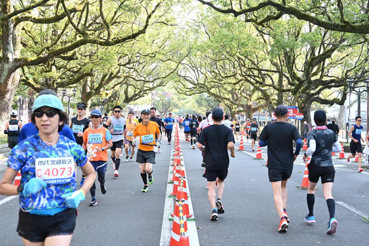 青島太平洋マラソン2025-2