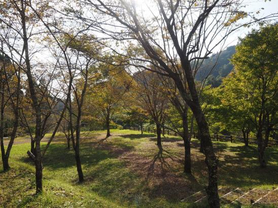 水清谷ふるさと村オートキャンプ場-1