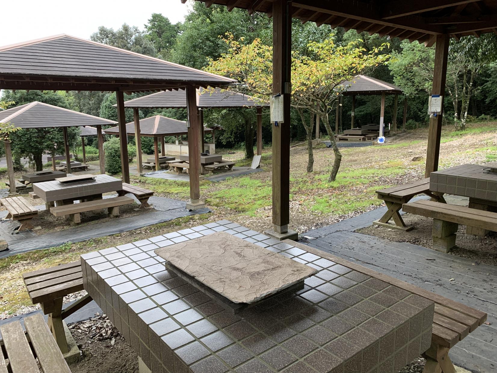 奥霧島 皇子原公園キャンプ場-2