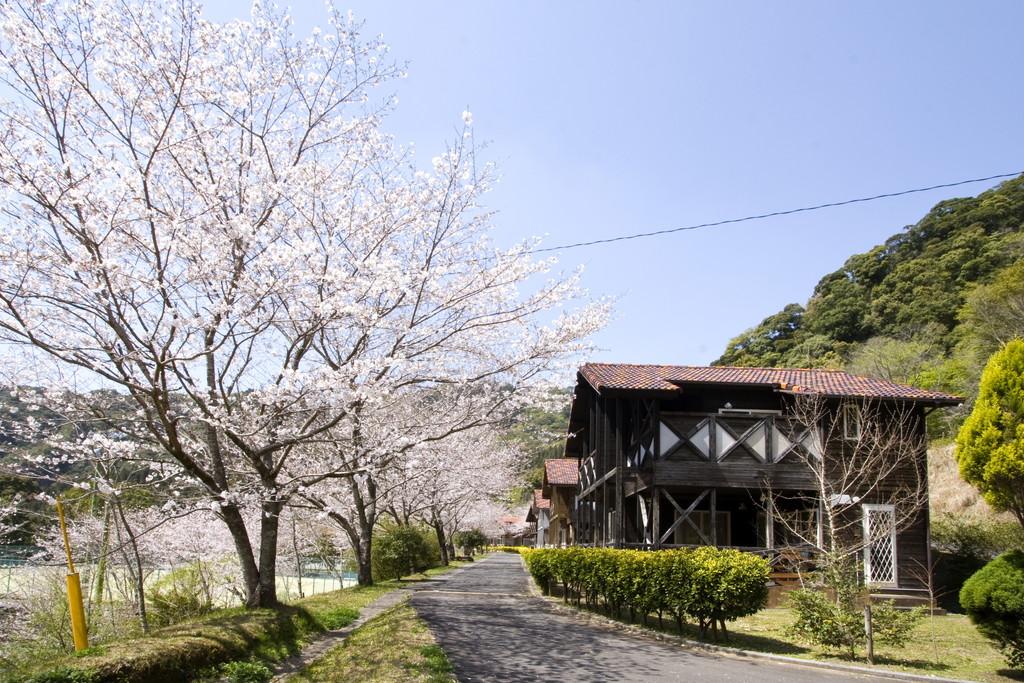 蜂之巣公園キャンプ場-0