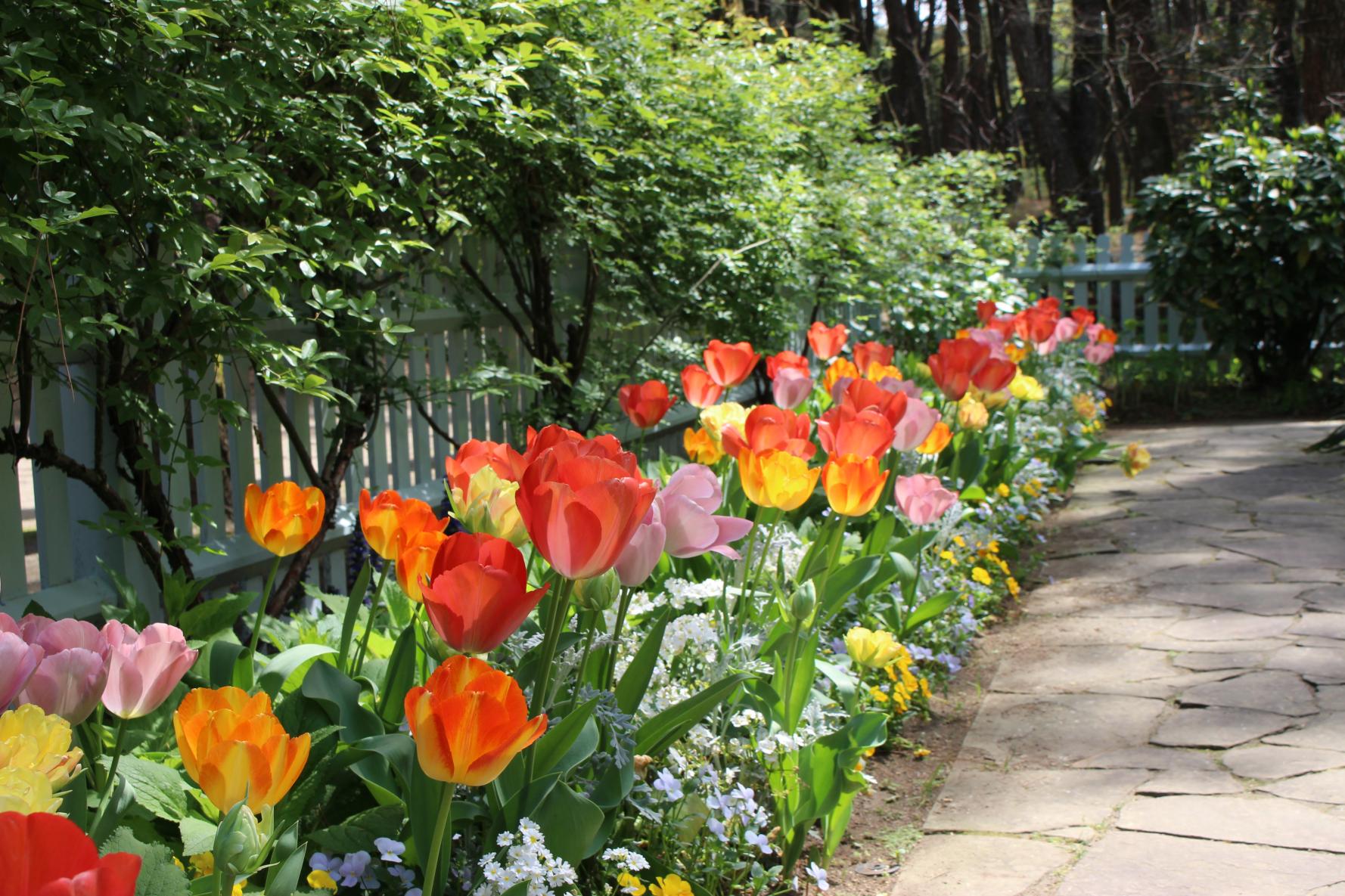 英国式庭園（国際海浜エントランスプラザ）-5