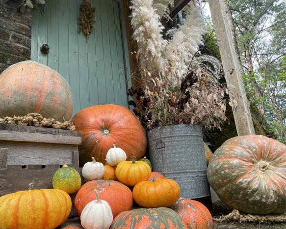 英国式庭園（国際海浜エントランスプラザ）-3