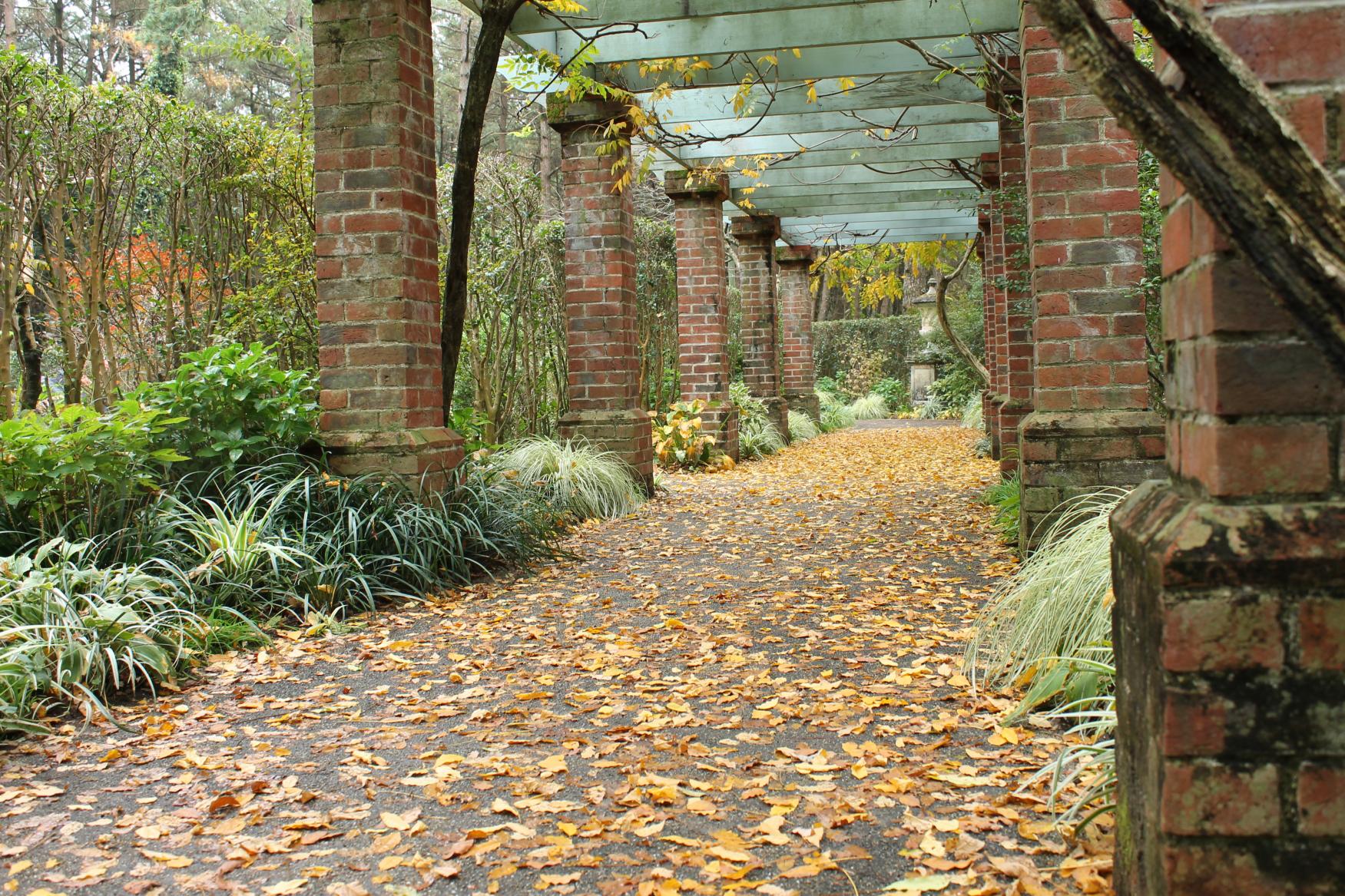 英国式庭園（国際海浜エントランスプラザ）-2