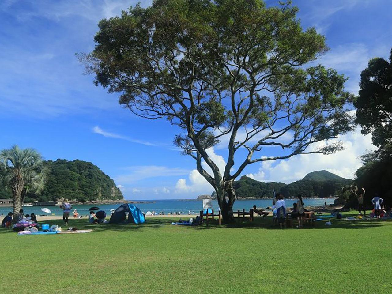 海狸家-9