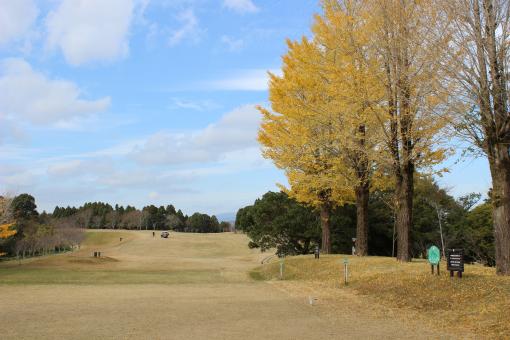 都城母智丘カントリークラブ-2