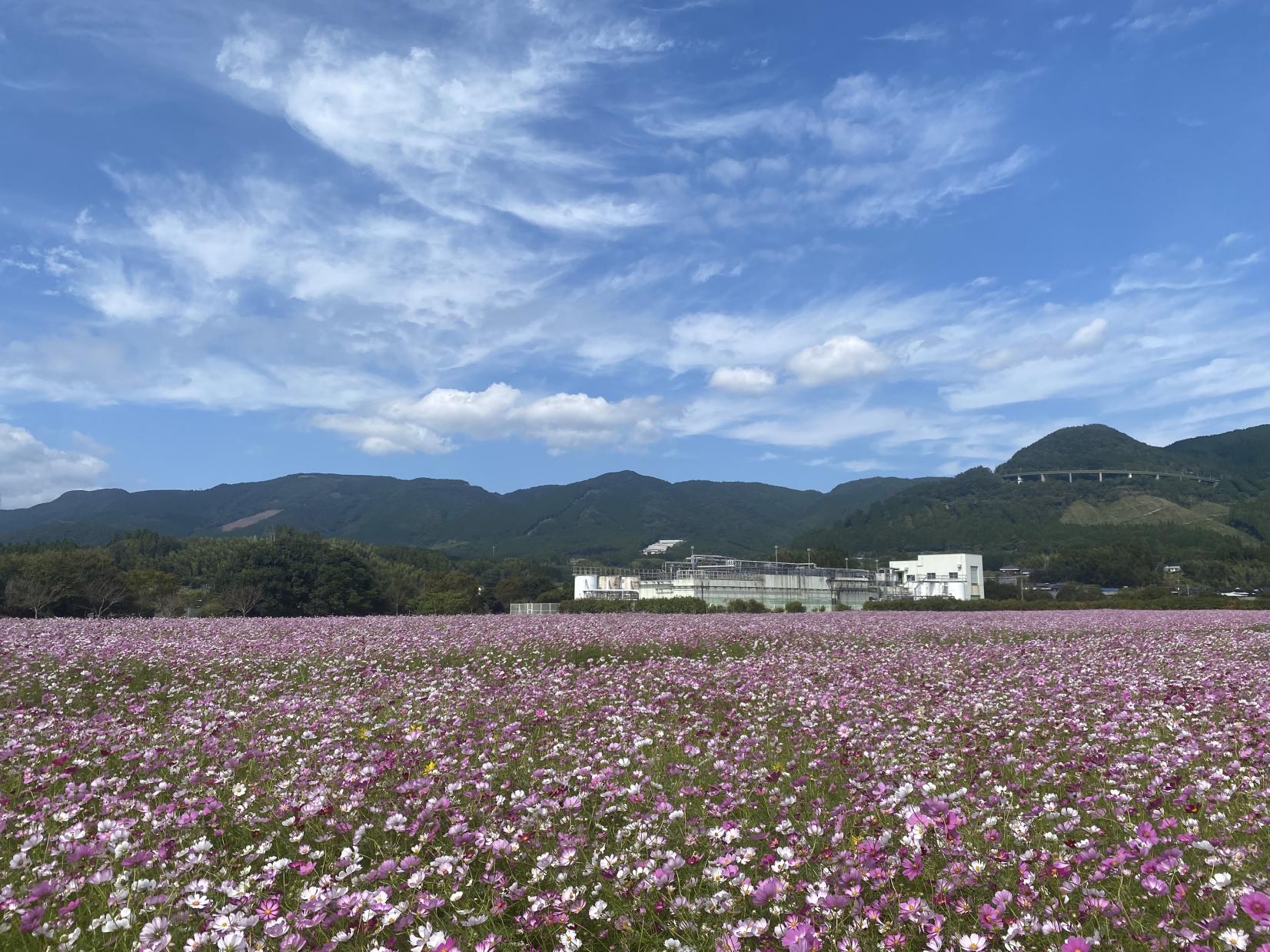 グリーンパークえびの-1