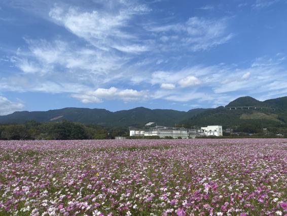 グリーンパークえびの-1