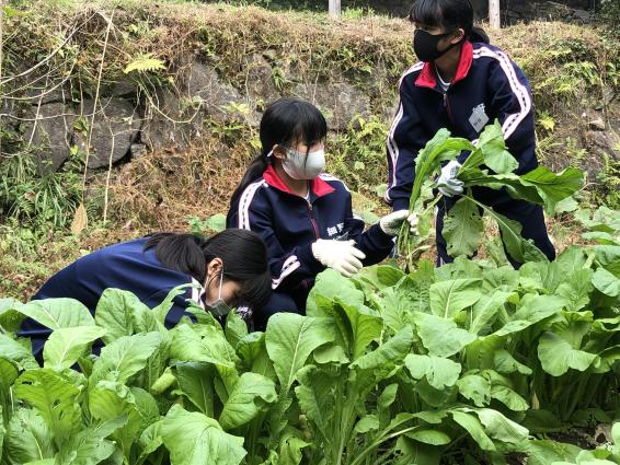 昭和の里-9