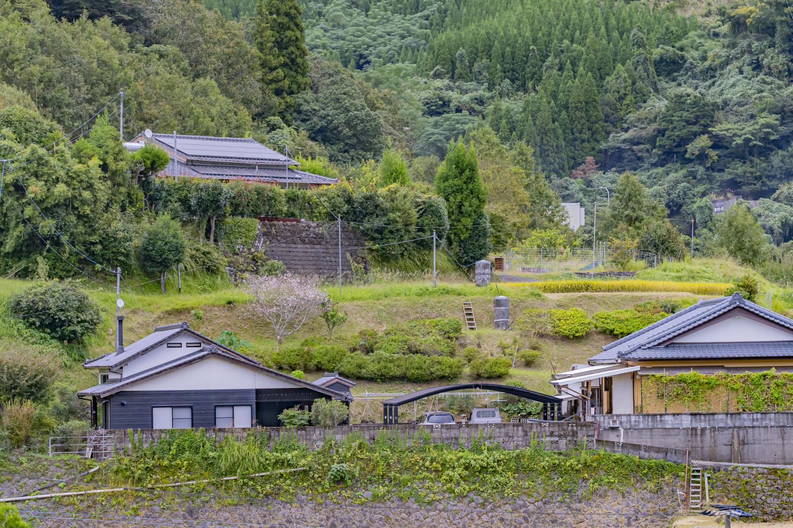 厩-1