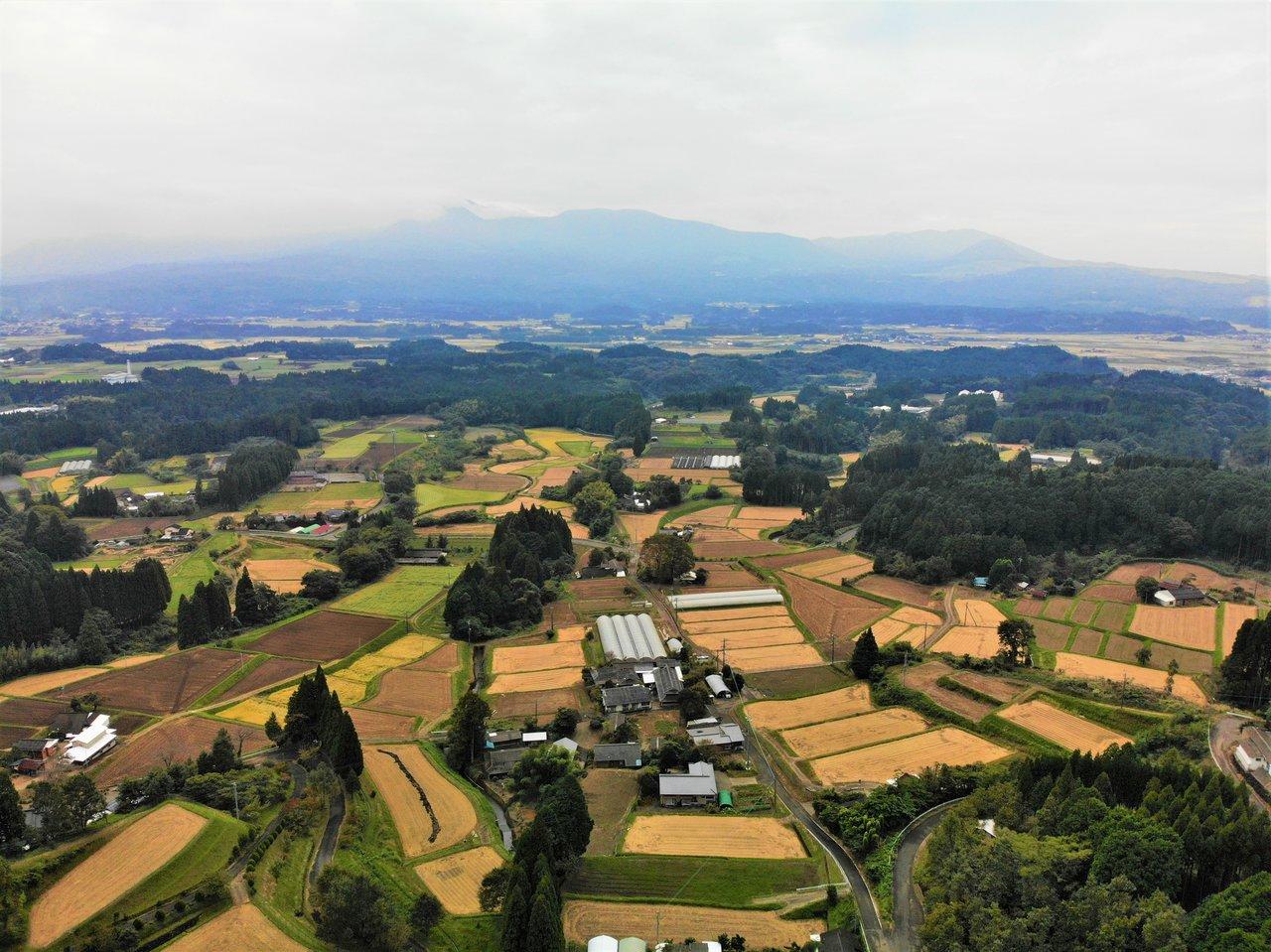 山風農園-6