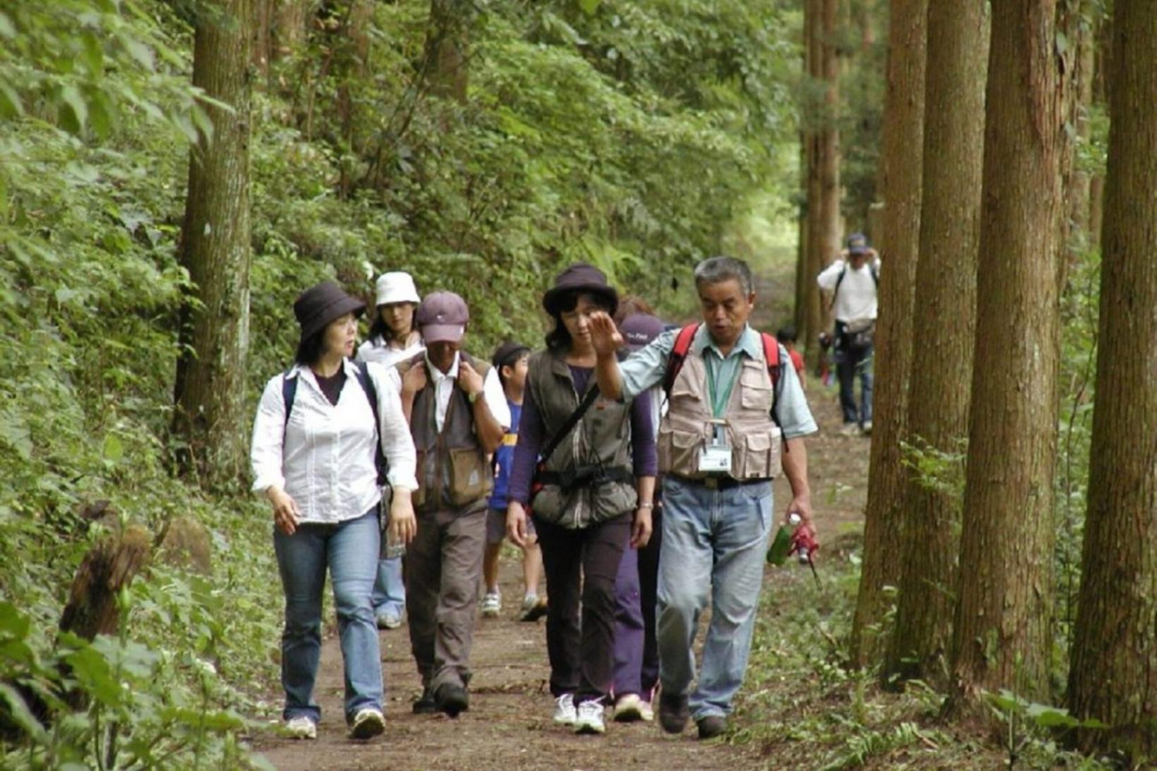 ガイドと歩く 癒しの森で森林セラピー体験-2