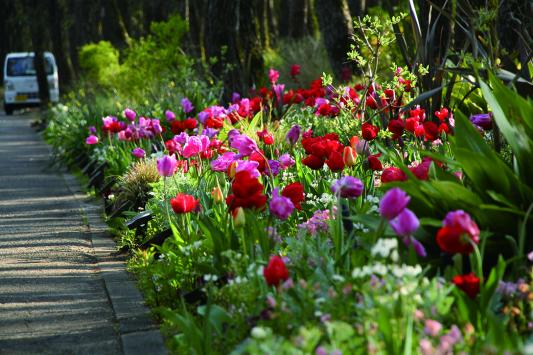 英国式庭園　春のフラワーガーデンショー-3