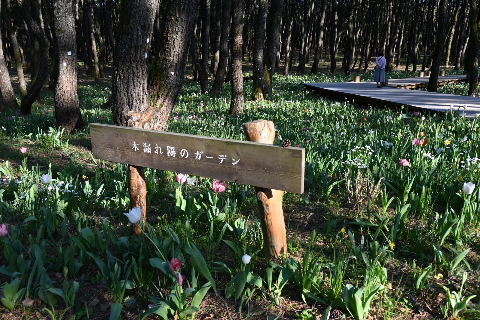 英国式庭園　春のフラワーガーデンショー-1