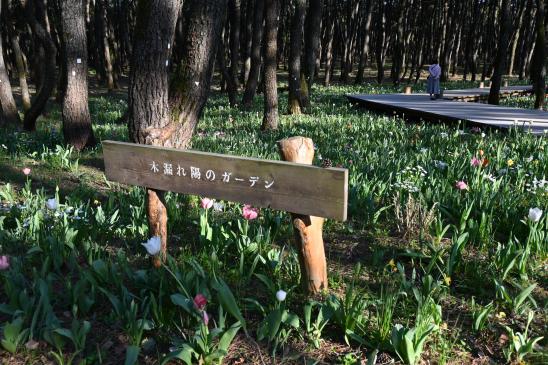 英国式庭園　春のフラワーガーデンショー-1