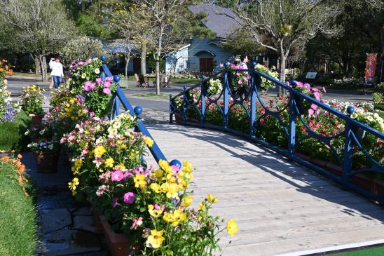 【2026】春のフローラル祭（フローランテ宮崎）-6