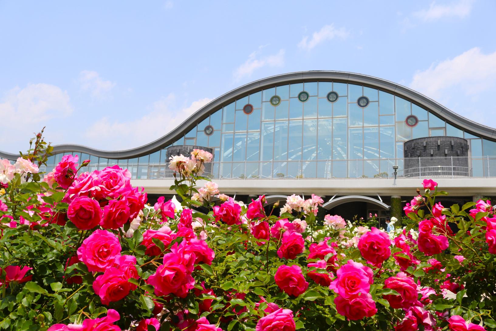 【2026】春のフローラル祭（フローランテ宮崎）-3