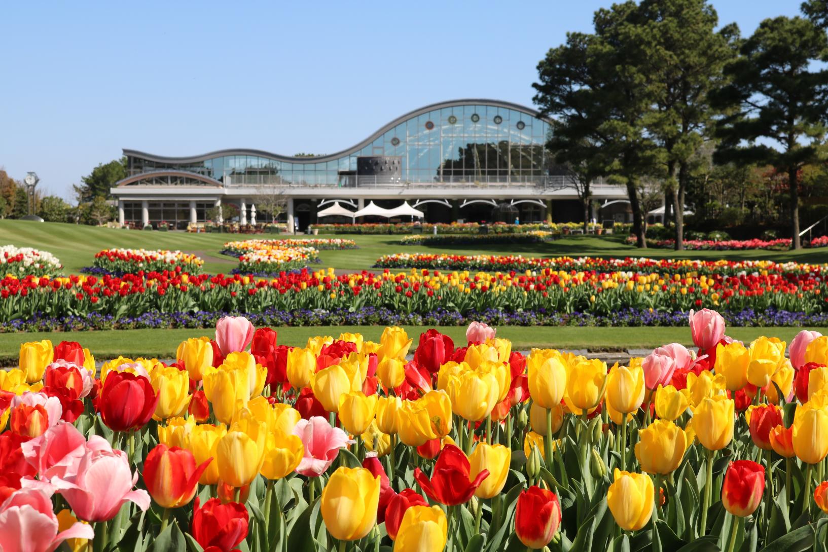 【2026】春のフローラル祭（フローランテ宮崎）-4