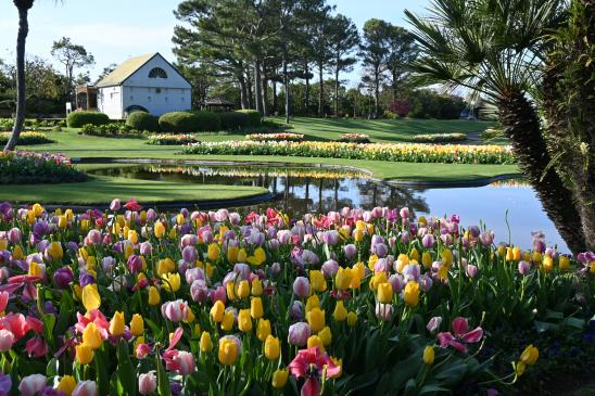 【2026】春のフローラル祭（フローランテ宮崎）-5