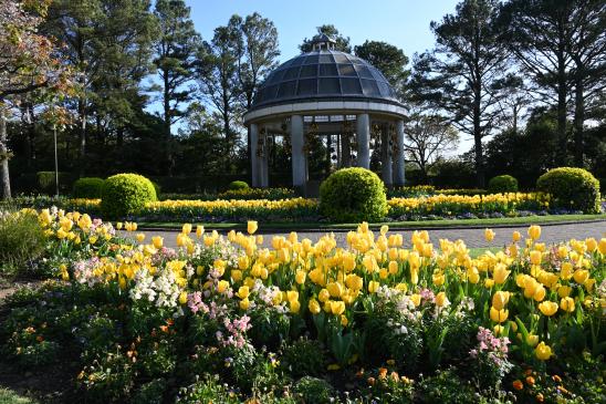 【2026】春のフローラル祭（フローランテ宮崎）-7