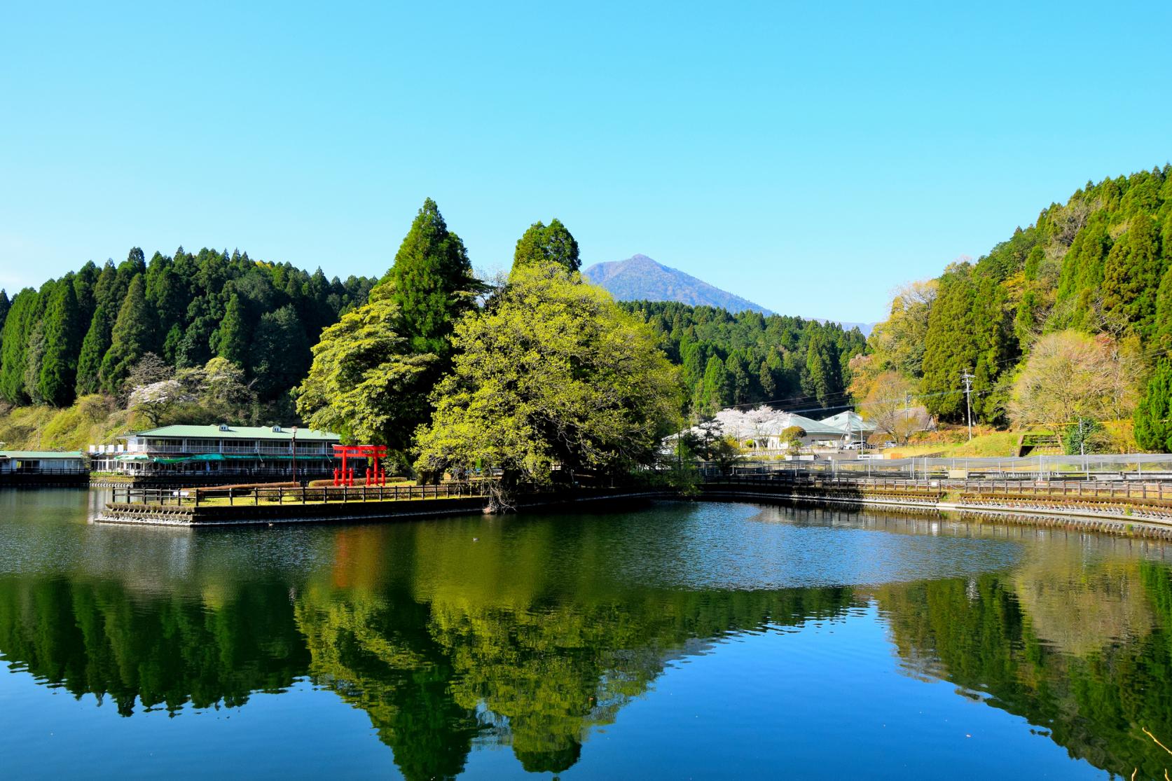 出の山公園-1