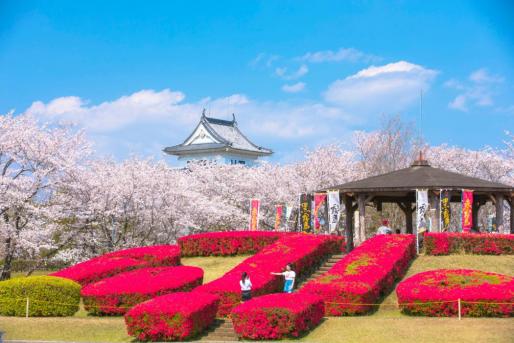 天ヶ城開門さくらまつり【2026】-0