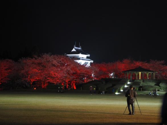 天ヶ城開門さくらまつり【2026】-7