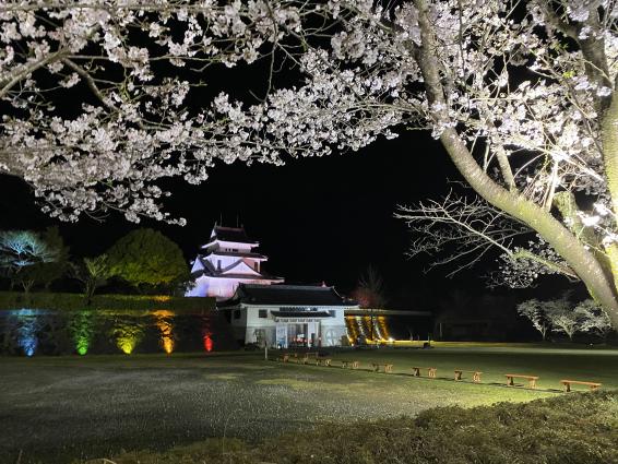 【2026】第19回天ヶ城開門さくらまつり-5