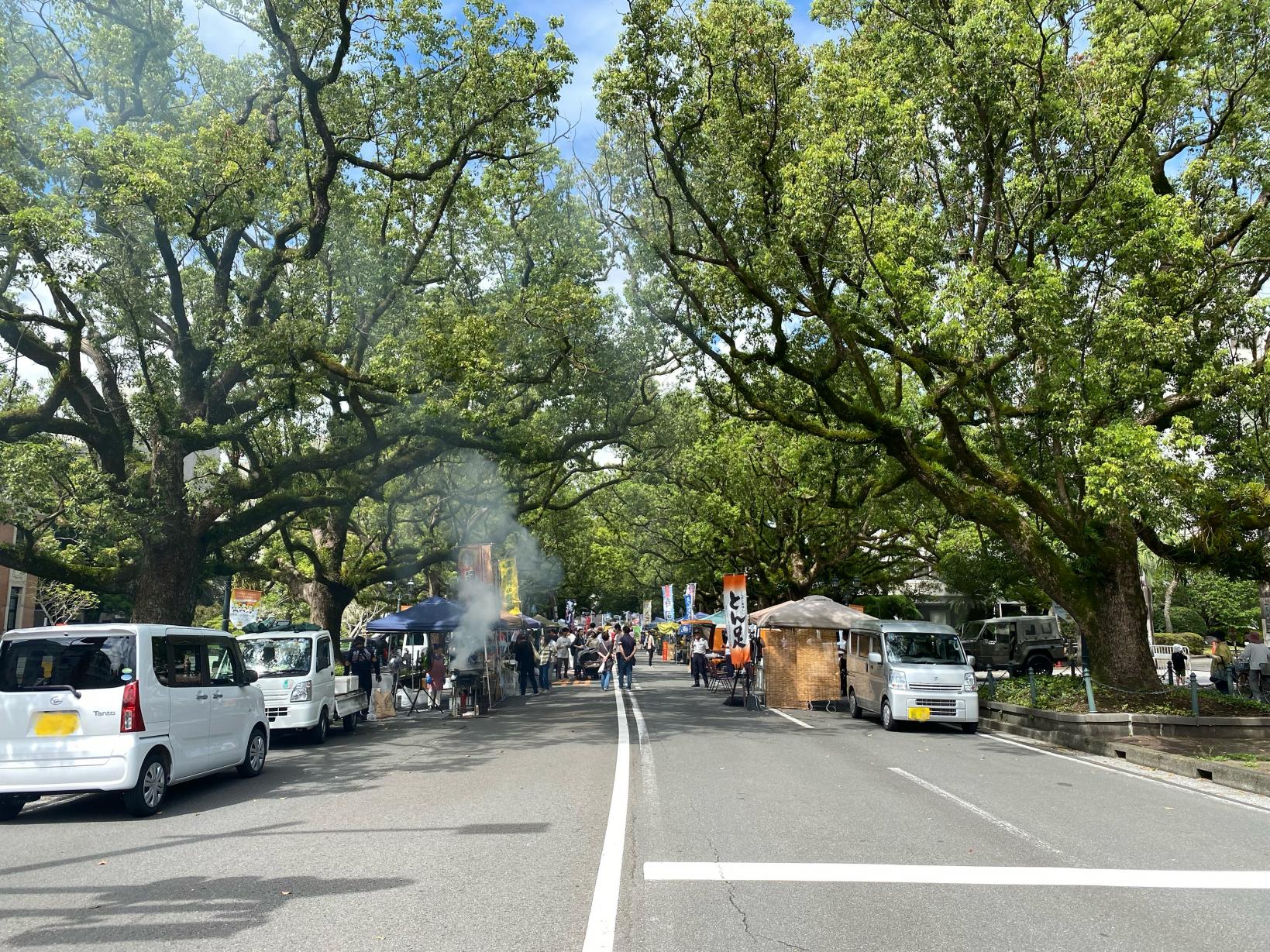 【毎月第1・3日曜日開催】いっちゃが宮崎 楠並木朝市-1