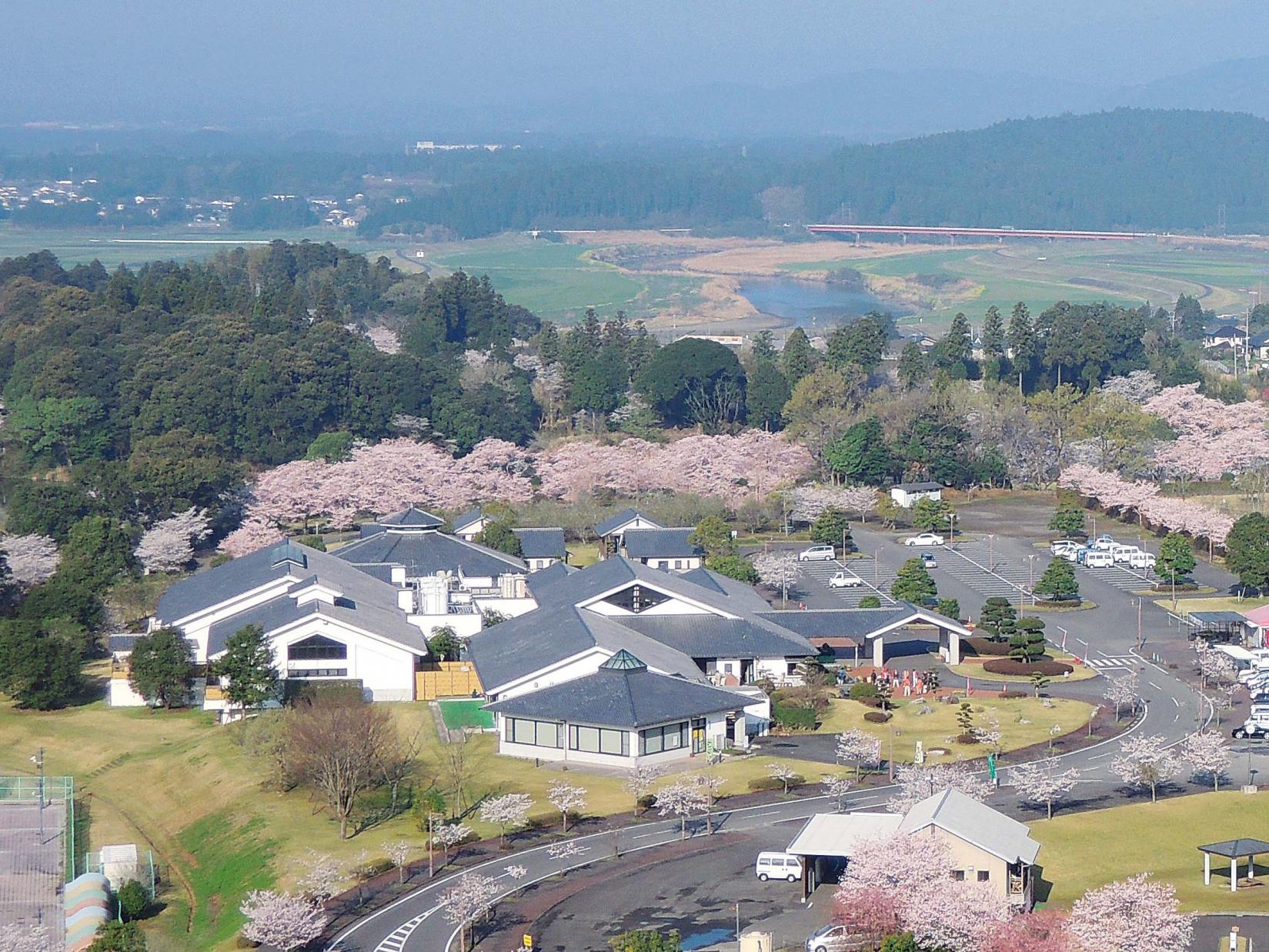 【2025】第40回さくらフェスタ高城-1